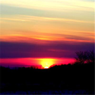 乐鱼app登录入口下载手机版