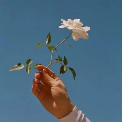 pg游戏麻将胡了网址截图